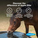 Apple Elite Electrolyte Paste Horse Supplement (60 ml) - Horse Vitamins & Supplements 2