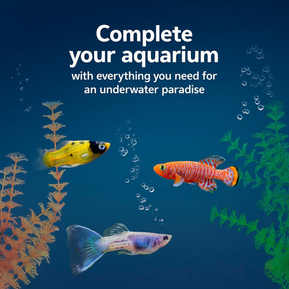 Aqueon Aquarium Essentials Kit