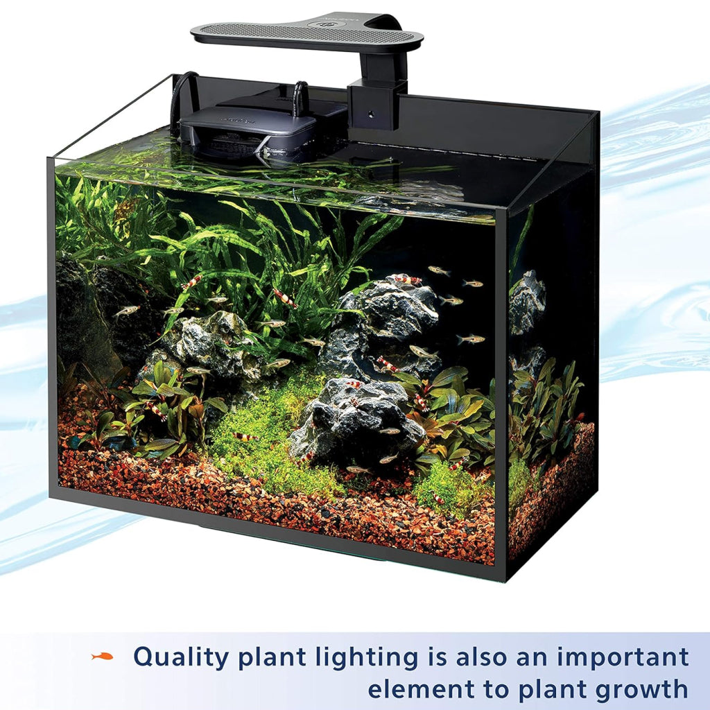 aqueon plant fertilizer Aqueon Aquarium Plant Food, 4.4 oz