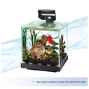 Aqueon Betta LED Light - Aquarium Lighting 2