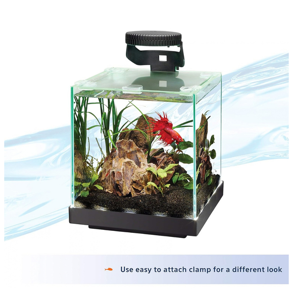 Aqueon Betta LED Light - Aquarium Lighting 2