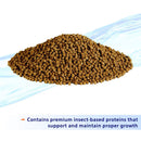 Aqueon Nutrinsect Goldfish Flakes (1.76 oz)