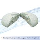 Aqueon Tropical or Goldfish Vacation Food Feeders