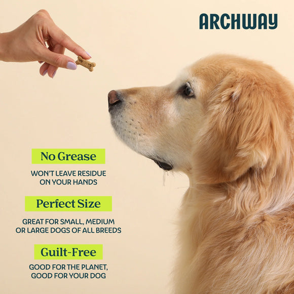 Archway Single Carp & Sweet Potato Biscuit Dog Treats 5-oz - Dog Treats 5