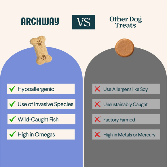 Archway Single Carp & Sweet Potato Biscuit Dog Treats 5-oz - Dog Treats 4