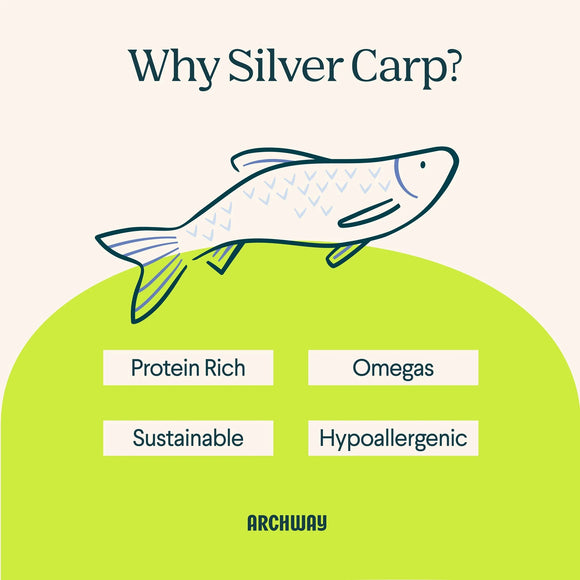 Archway Single Ingredient Silver Carp Rolled Skin Natural Dog Chew Treat 2-oz - Dog Treats 3