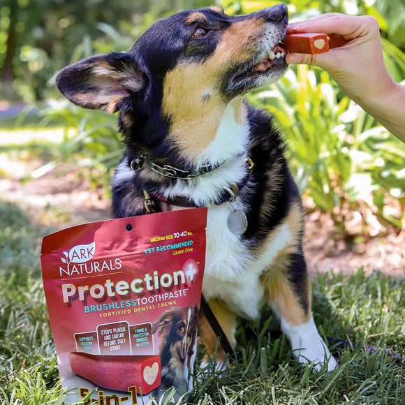 Ark Naturals 5-in-1 Protection  Brushless Toothpaste Dental Chews for Medium Breed Dogs