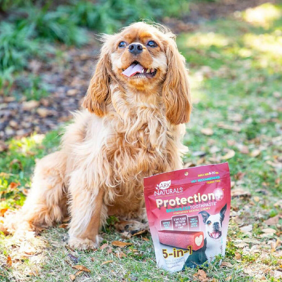 Ark Naturals 5-in-1 Protection Plus Fortified Brushless Toothpaste Chews for Small Dogs (12 oz)