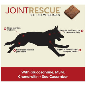 Ark Naturals Joint Rescue Mobility Support Beef Jerky Strips For Dogs (9 oz)