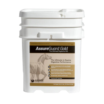 Assure Guard Gold Digestive Aid for Horses
