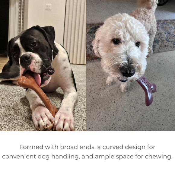 Augie Bones Plant Based Tough Dog Chew Toy - Dog Chew Toy 6