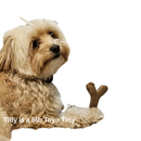 Augie Bones Tiny Bacon Softer Dog Chew Toy - Dog Chew Toy 4