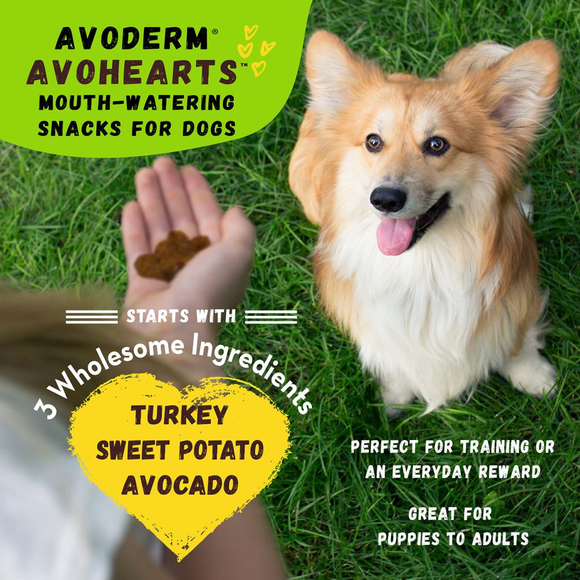 AvoDerm Natural AvoHearts Natural Dog Treats (5 oz) - Dog Treat 12