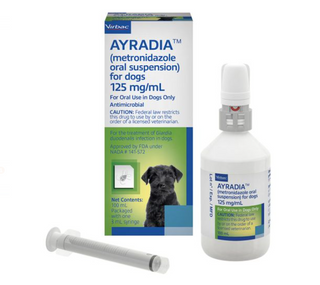 Ayradia (metronidazole oral suspension) 125mg/mL for Dogs
