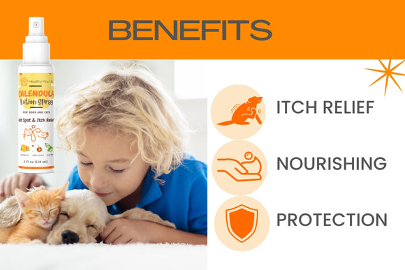 Healthy Paw Life Calendula Lotion Spray for Dogs & Cats, 4-oz