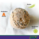 Backyard Boot Busy Balls For Digestion and Gut Health for Chickens (6 balls)
