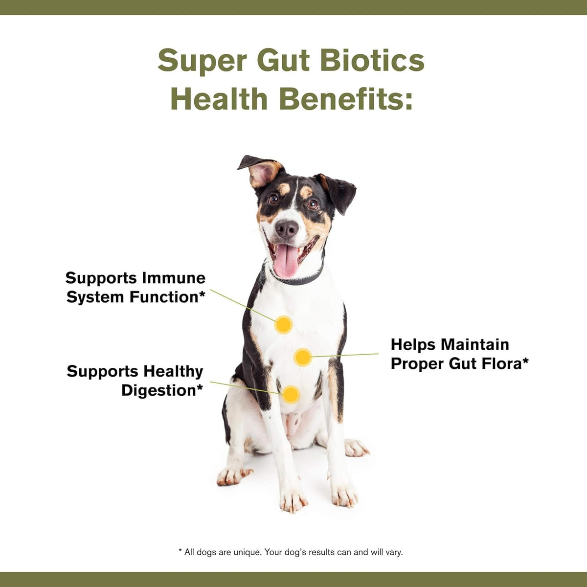 Badlands Ranch Super Gut Biotics Health Supplement for Dogs