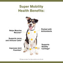 Health Benefits of Badlands Ranch Super Mobility Canine Health Supplement