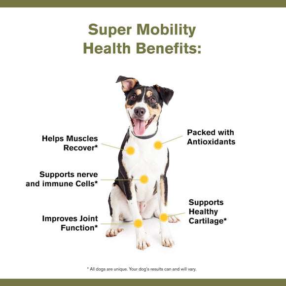 Health Benefits of Badlands Ranch Super Mobility Canine Health Supplement