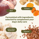 Dog food ingredients including beef, turmeric, lion's mane mushroom, and flaxseed with text on a green background.