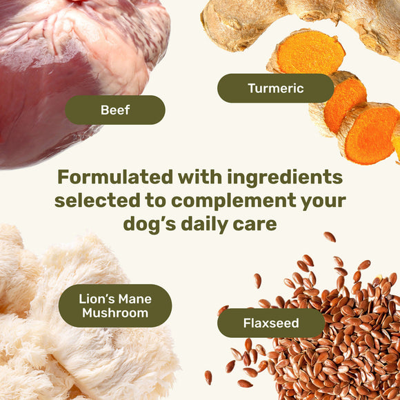 Dog food ingredients including beef, turmeric, lion's mane mushroom, and flaxseed with text on a green background.