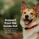 Dog with a red collar on a blurred green background with text about dog support.
