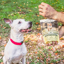 Dog looking at human hand holding Badlands Ranch Superfood Bites Air Dried Premium Beef Liver Treats for Dogs