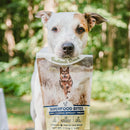 Dog Holding a packet of Badlands Ranch Superfood Bites Air Dried Premium Chicken Breast Treats for Dogs