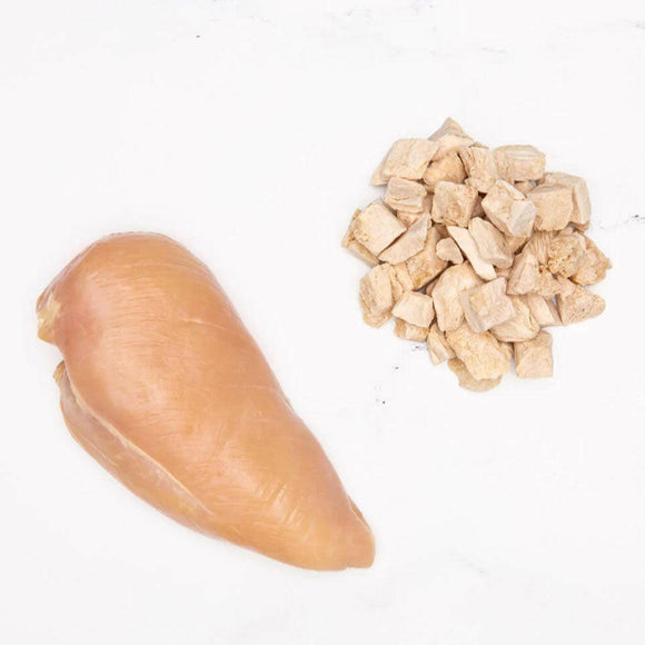 Badlands Ranch Superfood Bites Air Dried Premium Chicken Breast Treats for Dogs in the side of a chicken breast