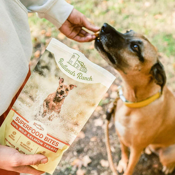Dog Eating Badlands Ranch Superfood Bites Air Dried Premium Wild Salmon Treats for Dogs from human hands