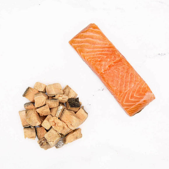 Badlands Ranch Superfood Bites Air Dried Premium Wild Salmon Treats for Dogs in the side of Wild Salmon