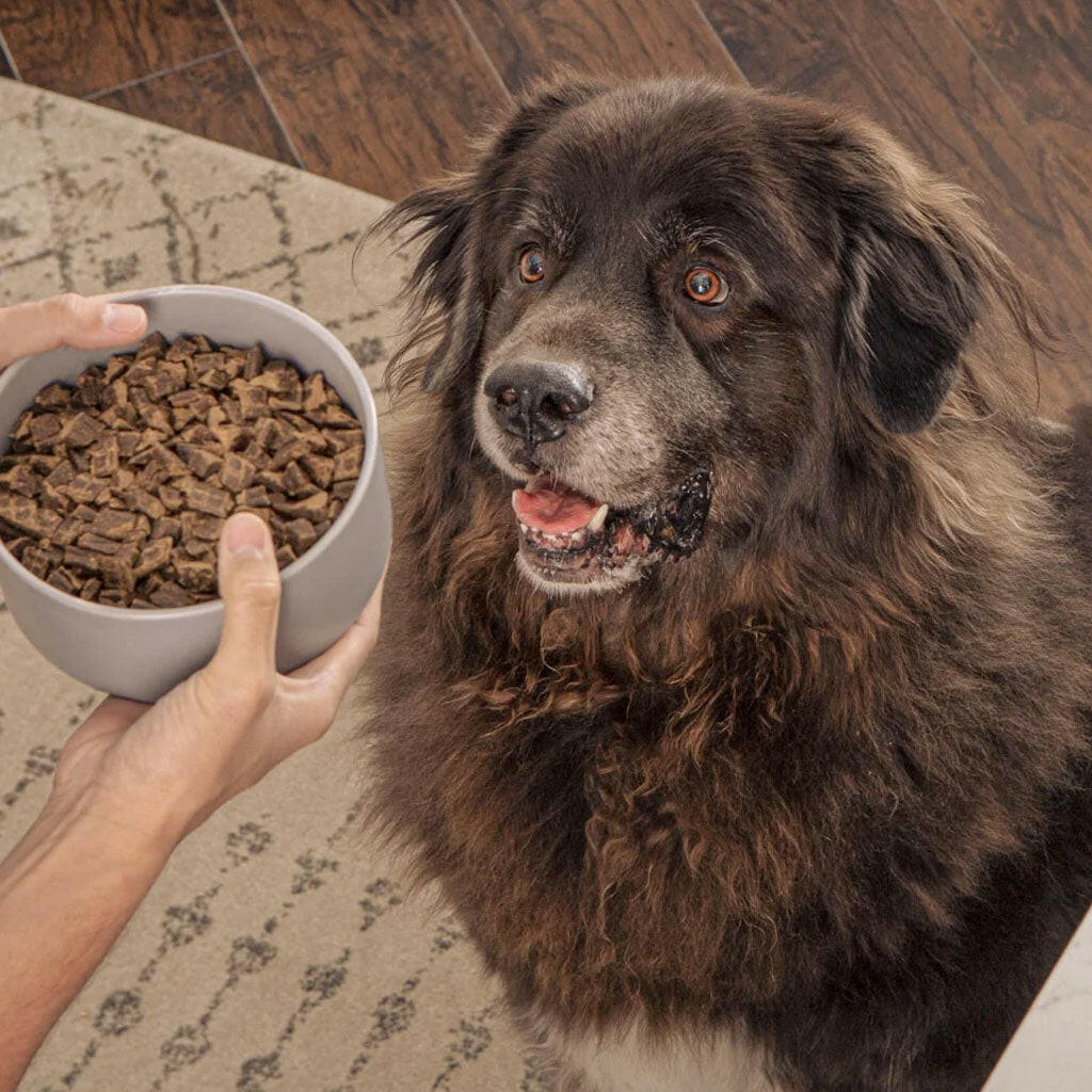 Badlands Ranch Premium Air Dried Lamb & Venison Dog Food
