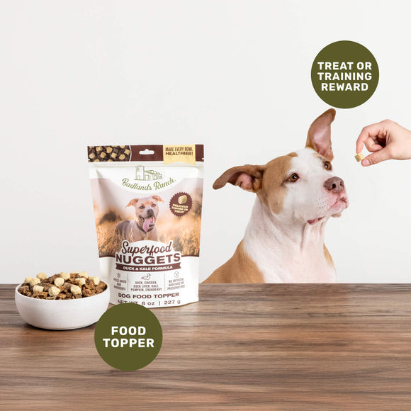 Dog food package with a dog and treats on a table
