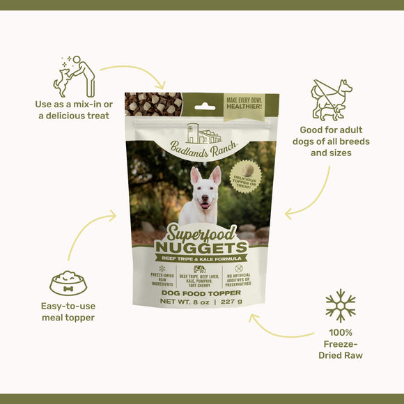 Bag of Badlands Ranch Superfood Nuggets dog food topper with text highlighting features on a white background.