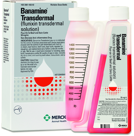 Banamine Transdermal (Flunixin Pour-On) for Cattle - 250ml - Pet Medicine 2