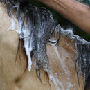 Banixx Horse & Pet Care Antifungal & Antibacterial Shampoo with Collagen (16 oz)