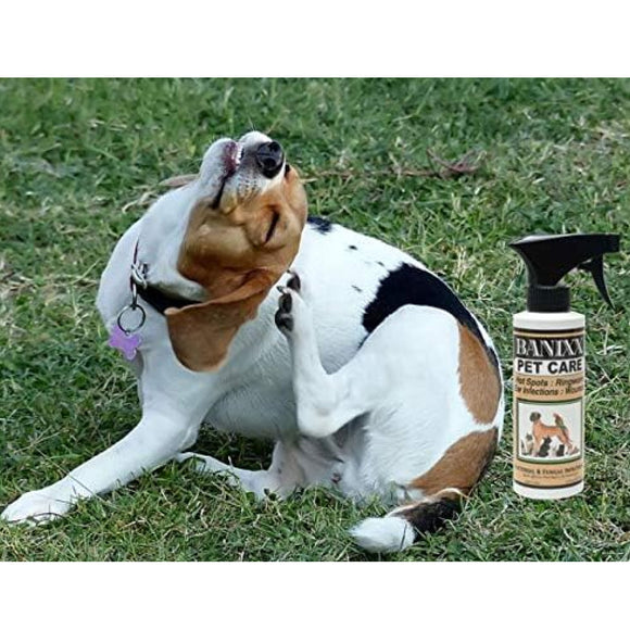 Banixx Pet Antibacterial & Antifungal Spray (8 oz)