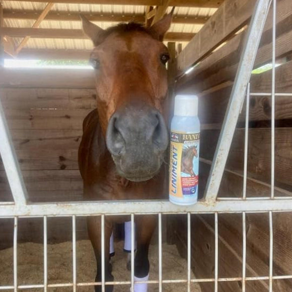 Banixx Premium Analgesic Liniment Spray for Horses (13.2 oz)