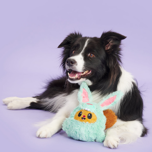 BARK Buddy The Nutty Bunny Easter Plush Dog Toy - Plush Dog Toys 4