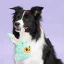 BARK Buddy The Nutty Bunny Easter Plush Dog Toy - Plush Dog Toys 3