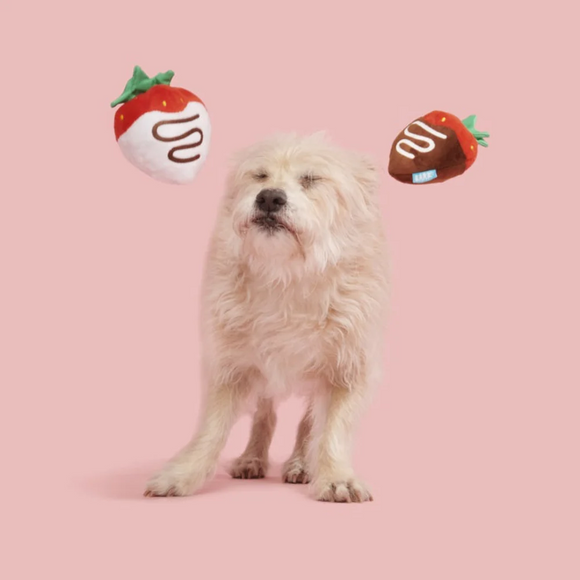 BARK Chocolick Strawberries Plush Dog Toy (Set of 2) - Plush Dog Toys 4