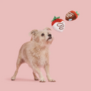 BARK Chocolick Strawberries Plush Dog Toy (Set of 2) - Plush Dog Toys 3
