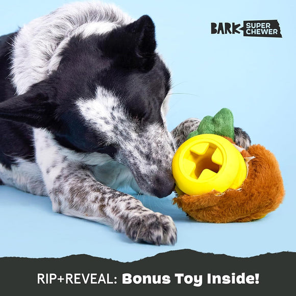 BARK Fowl Play 2-in-1 Plush Exterior with Tough Center Treat Dispensing Dog Chew Toy
