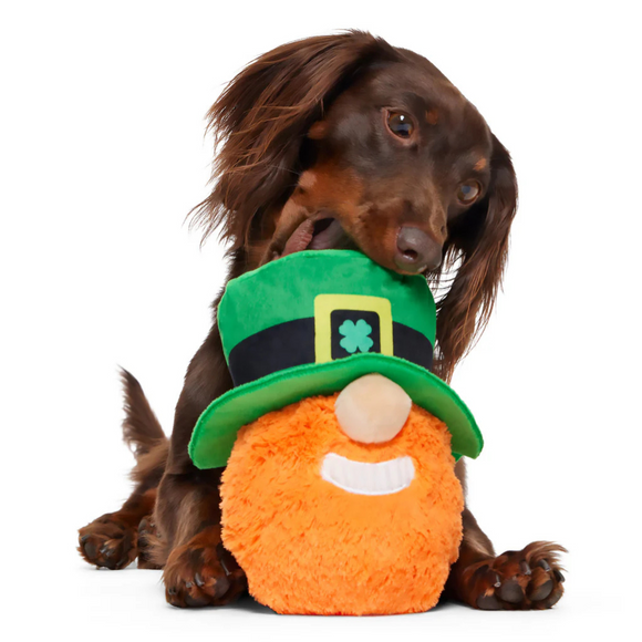 BARK Paddy O’Belly Leprechaun St. Patrick’s Day Theme Plush Dog Toy - Plush Dog Toys 3