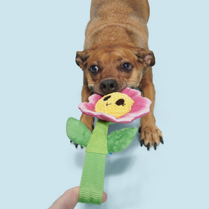 BARK Penny Pechewnia Plush Dog Toy - Dog Toys 2