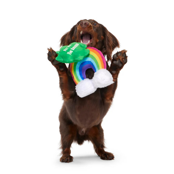 BARK Puppy Charms St. Patrick’s Day Theme Clover & Rainbow Set Plush Dog Toy - Plush Dog Toys 3