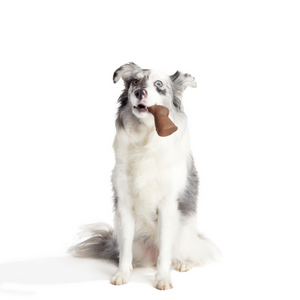 Bark Yummy Bunny Chew Toy Medlum/Large - Dog Chew Toy 2