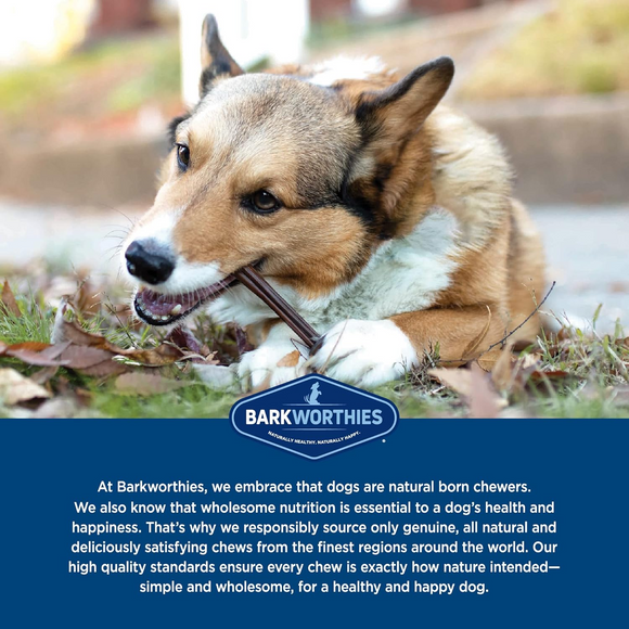 Barkworthies Collagen Beef Stick Chews for Dogs - Dog Treats 6