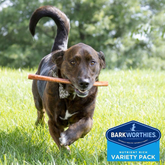 Barkworthies Medium Breed Variety Pack Dog Chews Treats for Dogs (5 chews) - Dog Treats 5