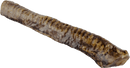 Beef Trachea 12”